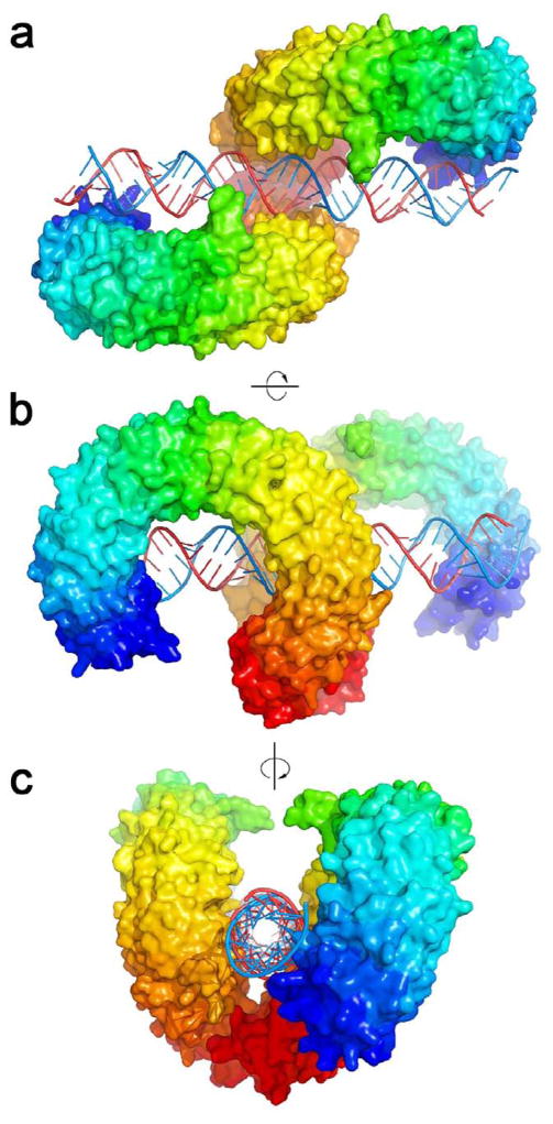 Fig. 3