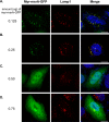 Figure 10.