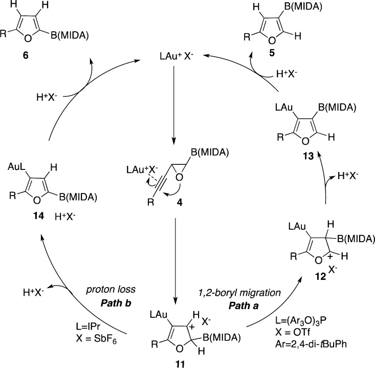 Scheme 4