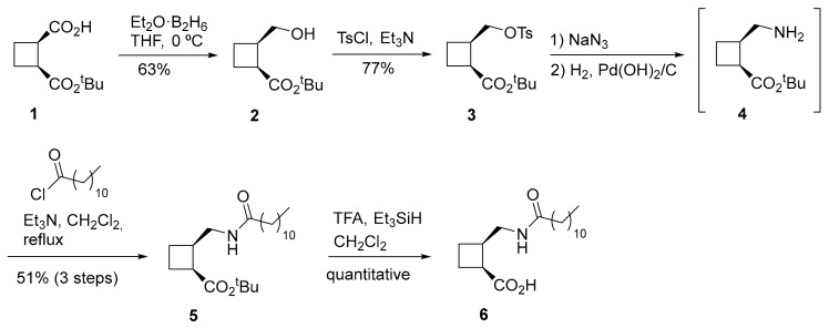 Scheme 2
