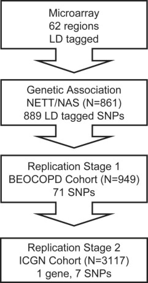 Figure 1