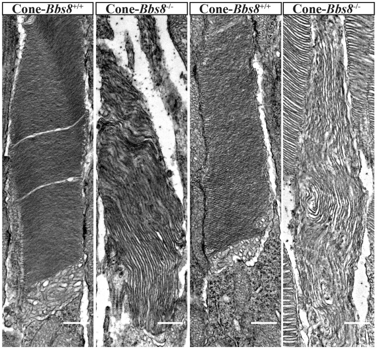 Figure 10.