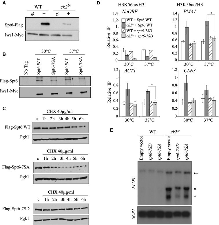 Figure 6.