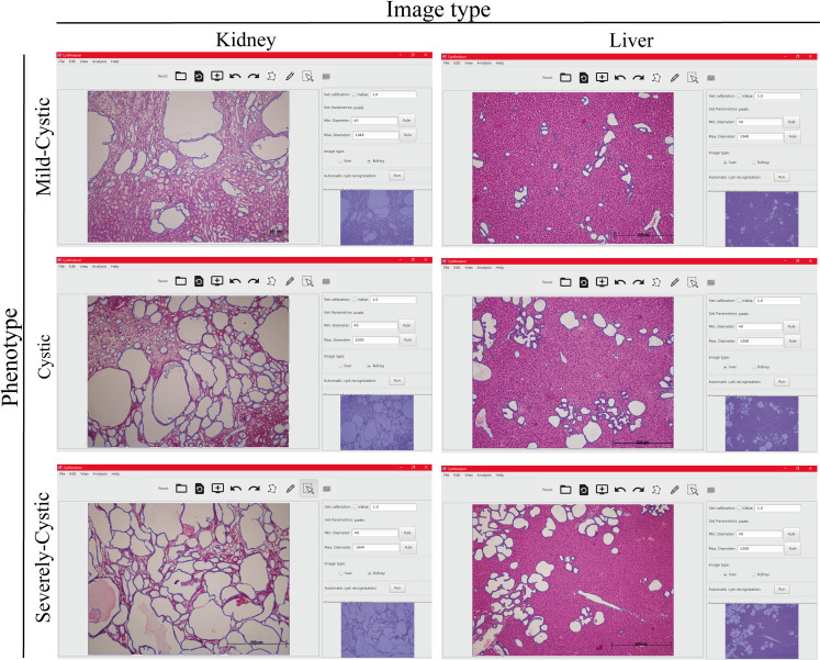 Fig 3