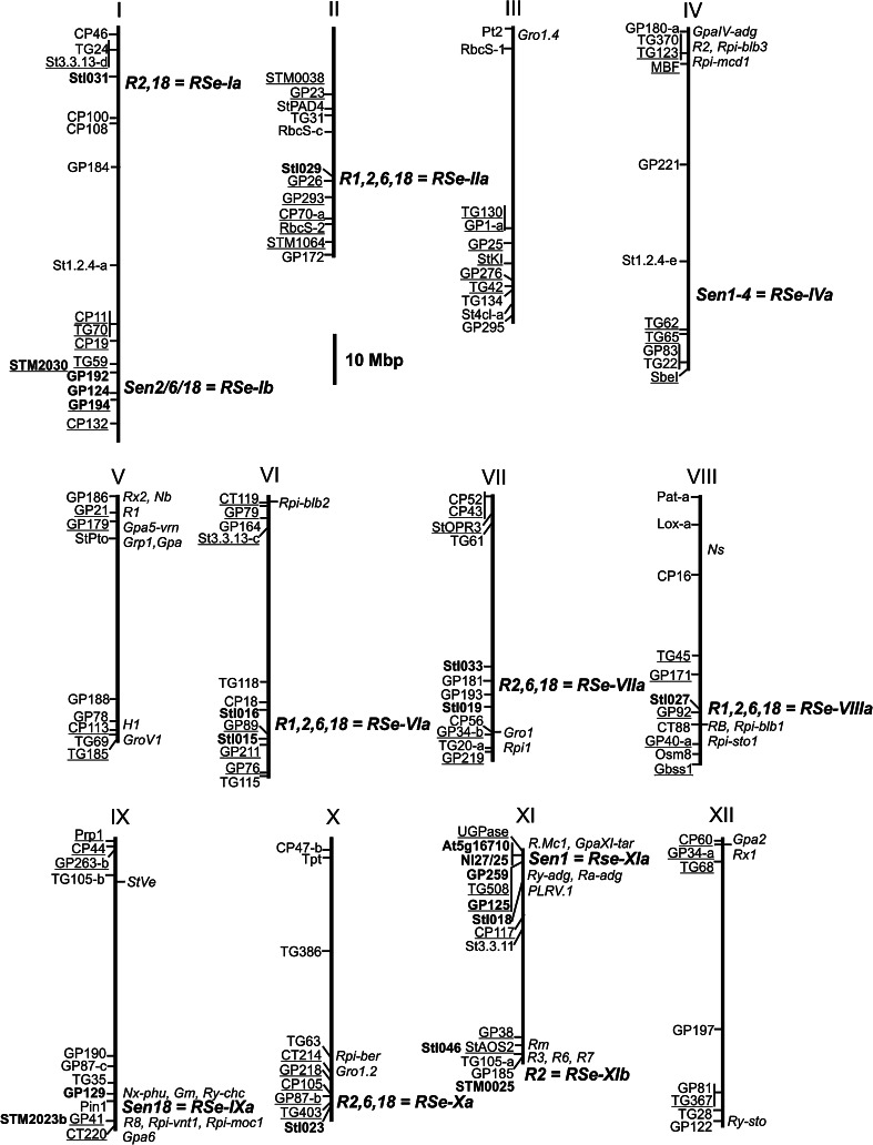 Fig. 4