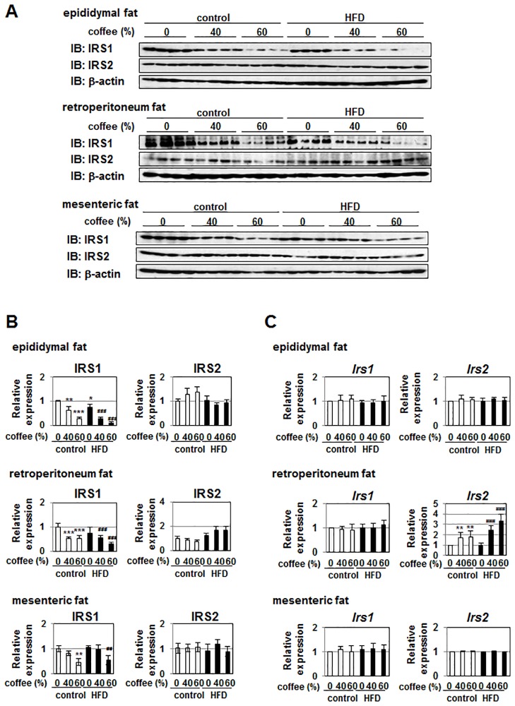 Fig 8