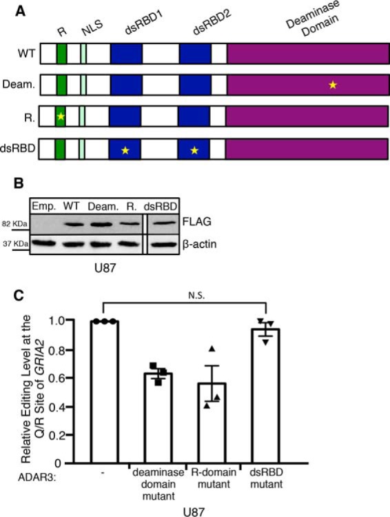 FIGURE 3.