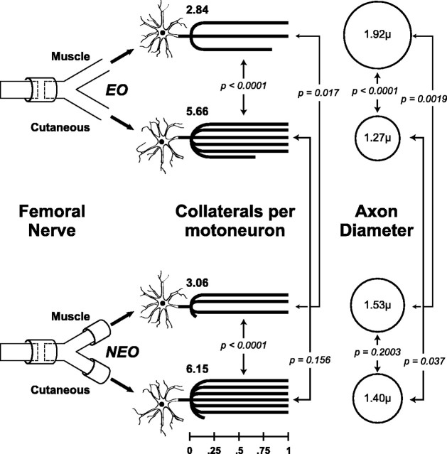 
Figure2.
