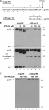 FIG. 7.