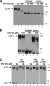 FIG. 5.