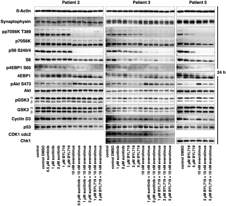 Figure 12.