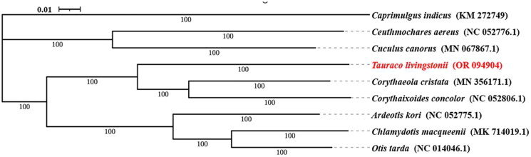 Figure 3.