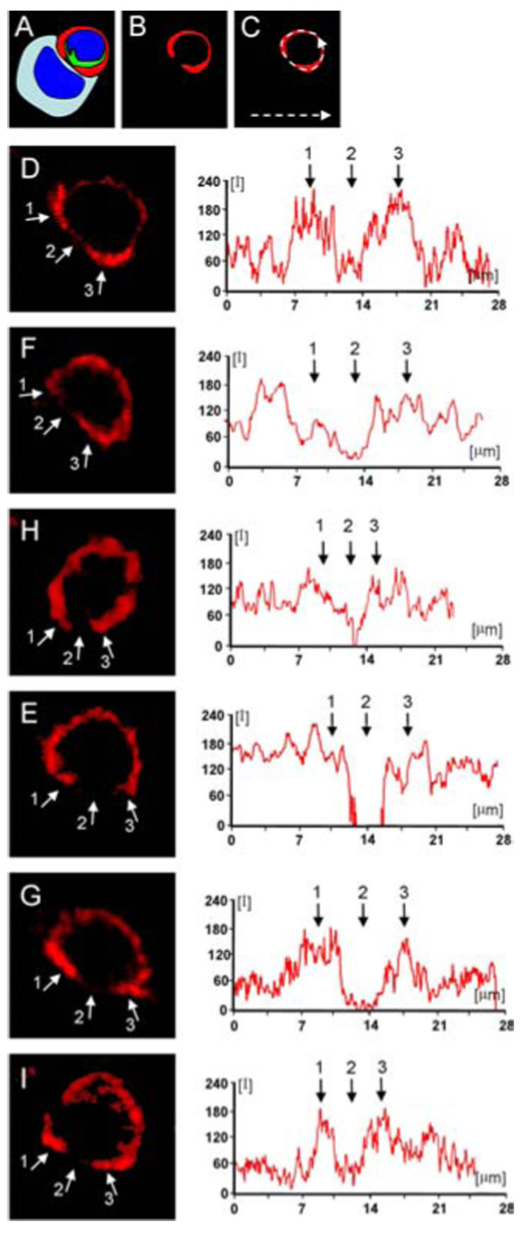 Figure 10.