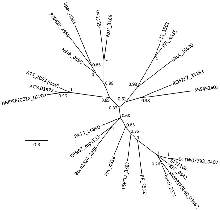 FIG 1 