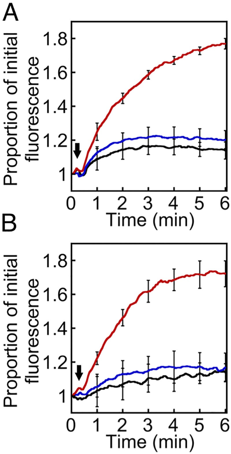 FIG 2 