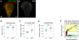 Figure 3—figure supplement 1.