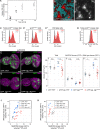 Figure 7—figure supplement 1.