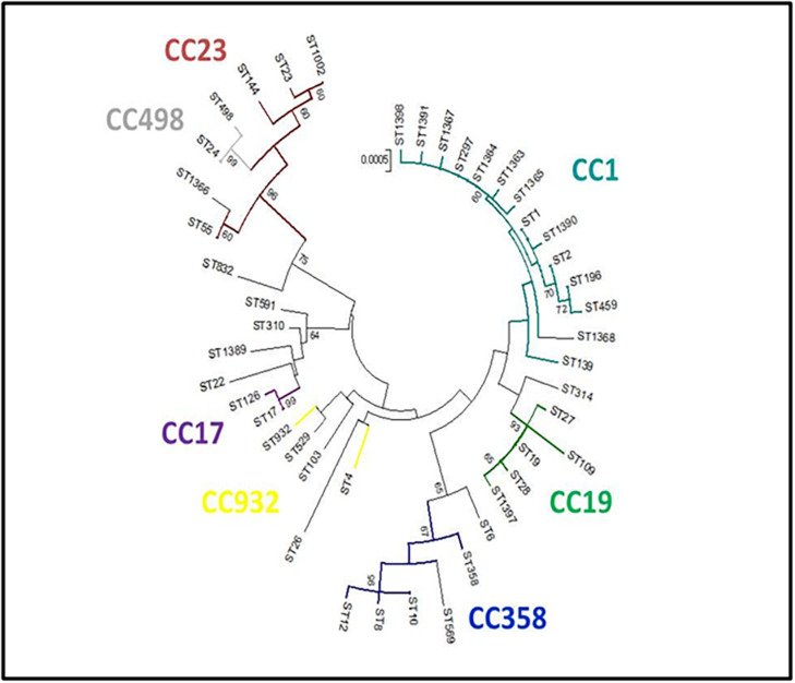 FIGURE 3