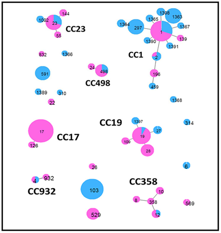 FIGURE 2