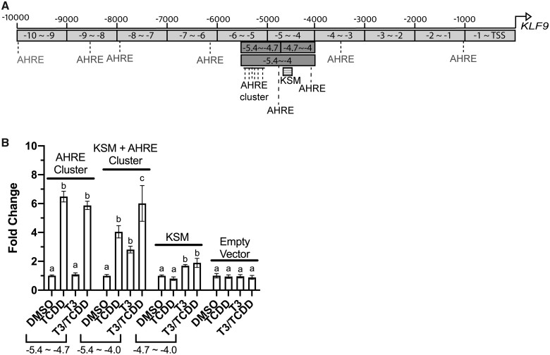 Figure 7.