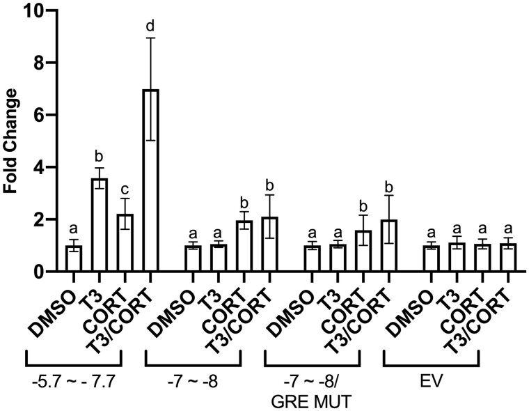 Figure 5.