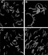 FIG. 8.
