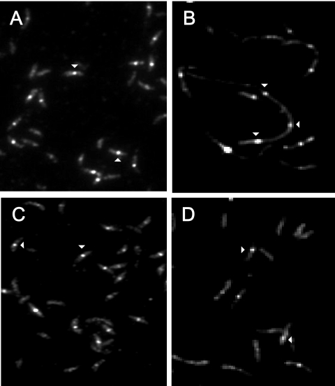 FIG. 9.