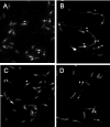 FIG. 9.