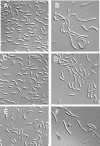 FIG. 7.