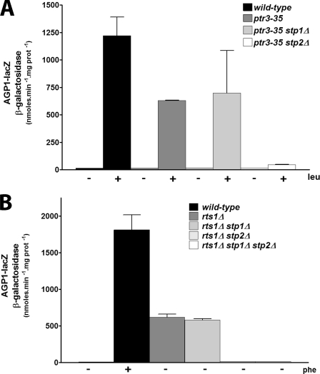 FIGURE 6.