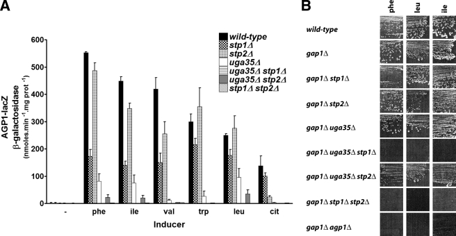 FIGURE 2.