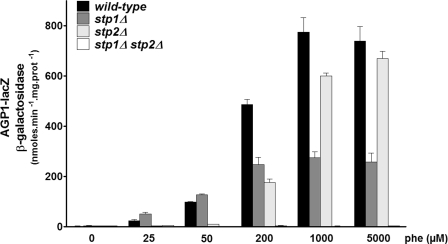 FIGURE 3.