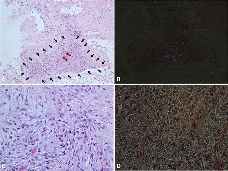 Fig. 10