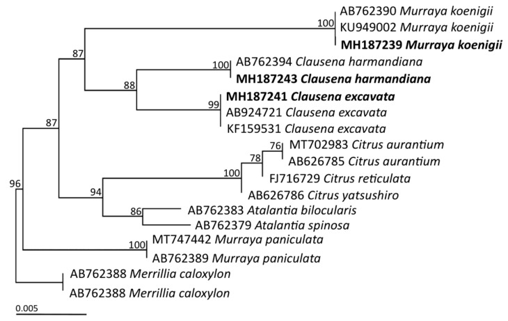 Figure 2