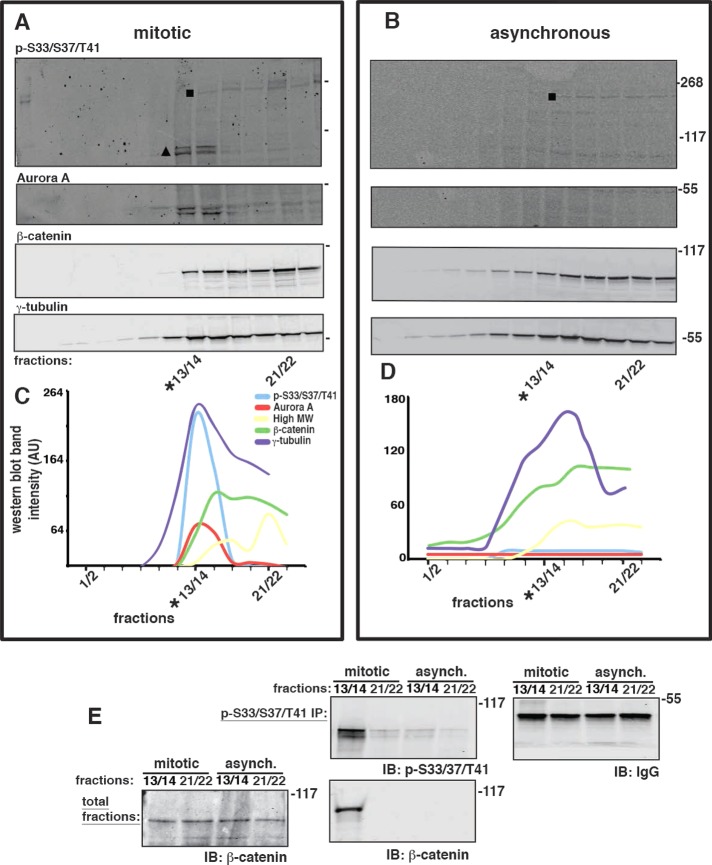 FIGURE 3: