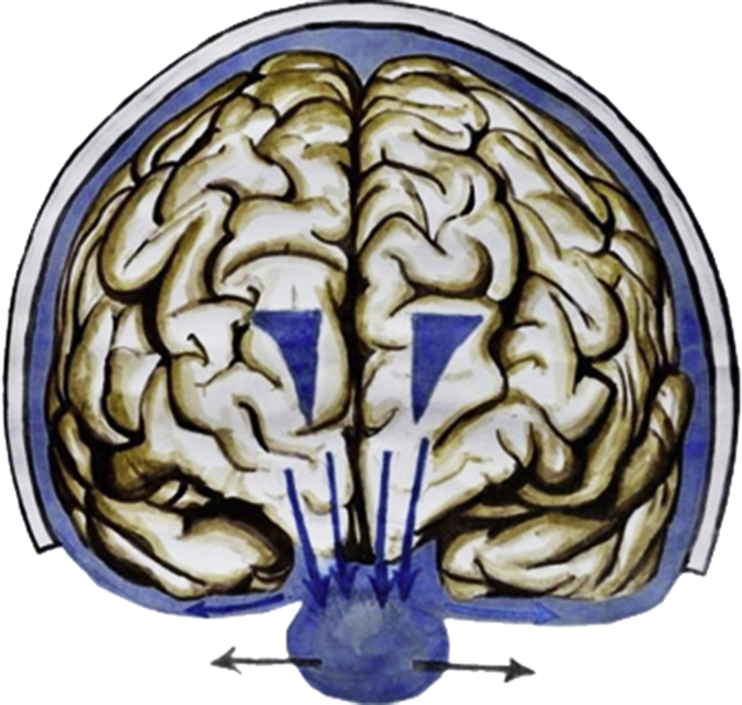 Fig. 8