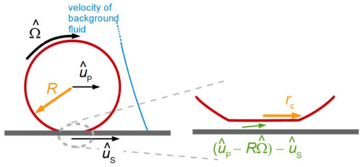 Figure 34