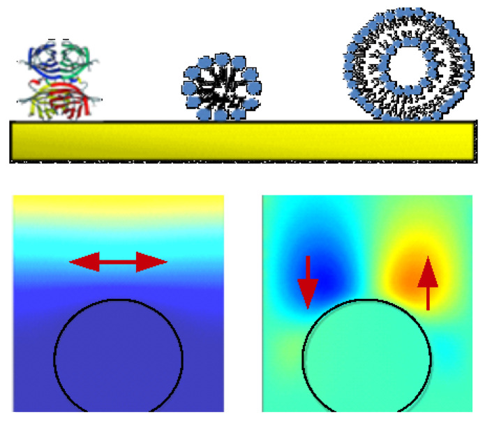 Figure 29