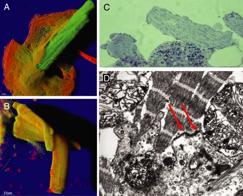 Figure 5)