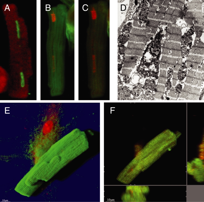 Figure 6)