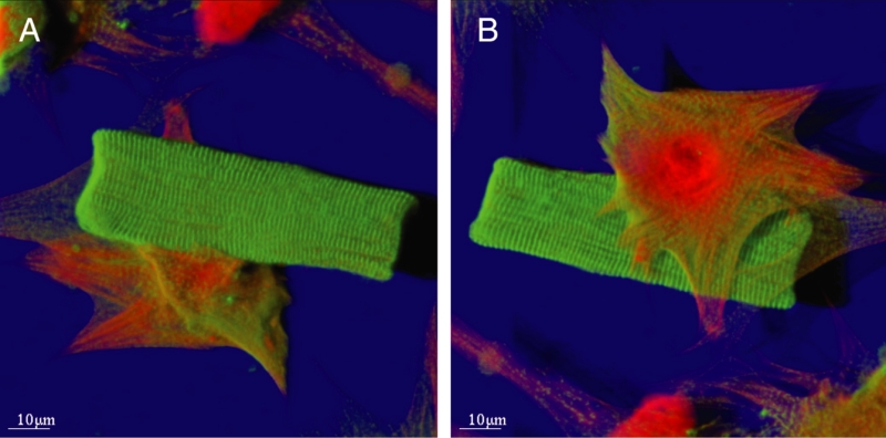 Figure 1)