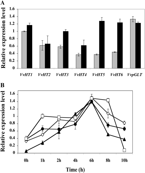 Figure 6.