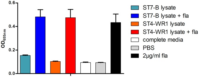 Figure 4