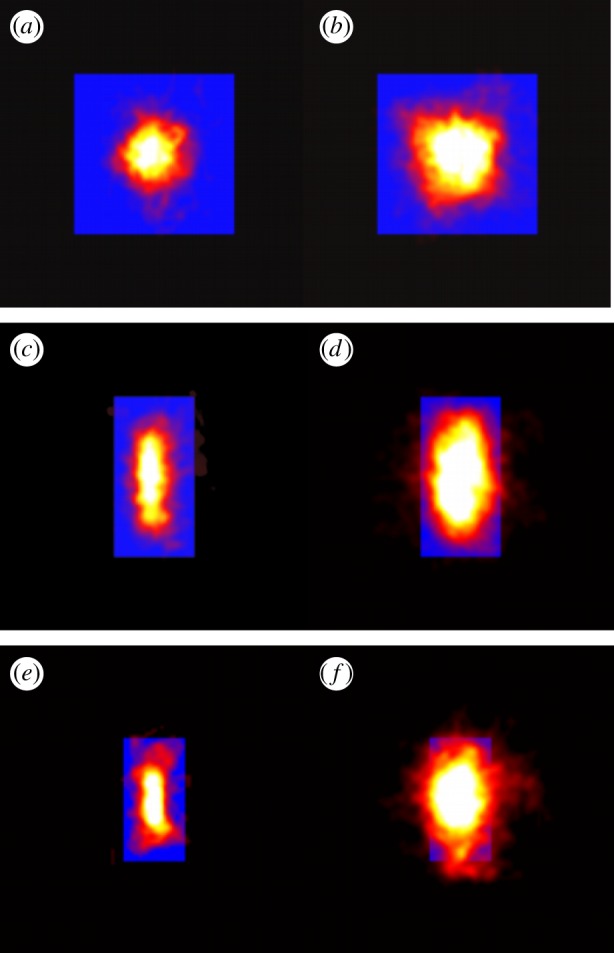 Figure 7.