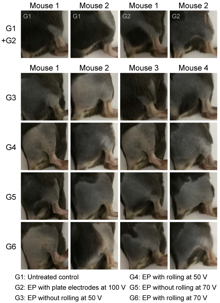 Figure 7