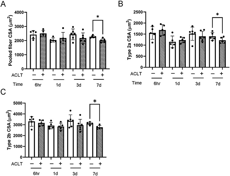 Figure 10.