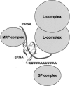 FIGURE 10.