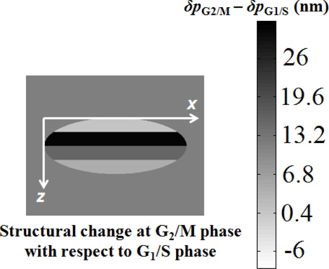 Fig. 16