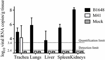 Figure 7