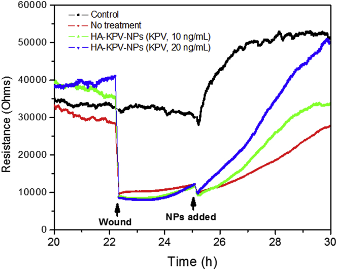 Figure 4